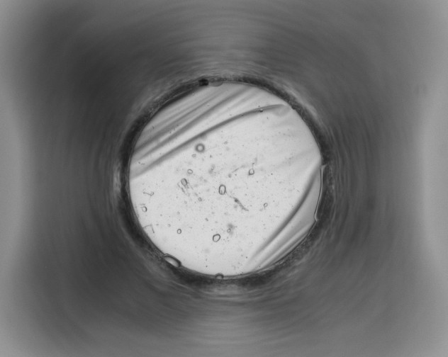 X0000115140685200911241506
