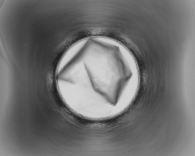 X0000115140691200911241506