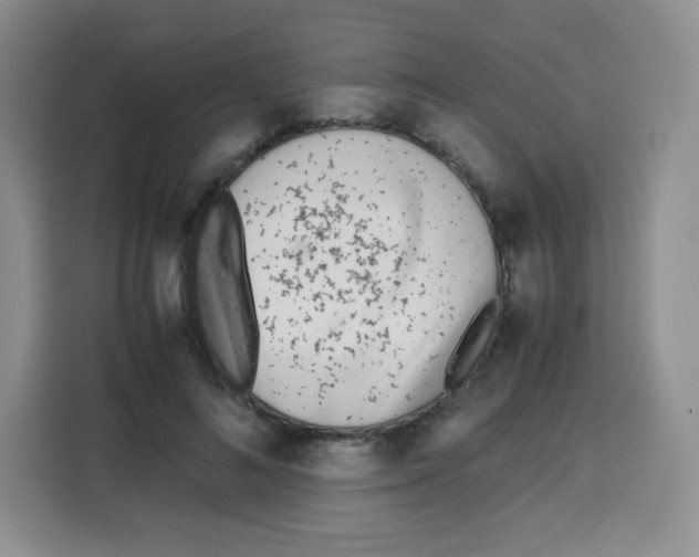 X0000115140692200911241506
