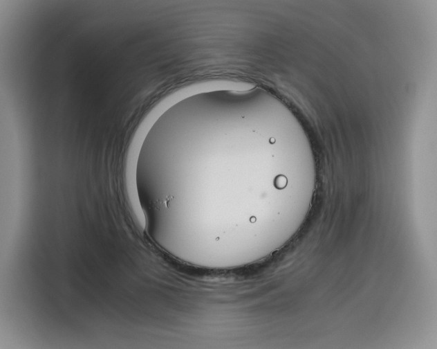 X0000115140693200911241506