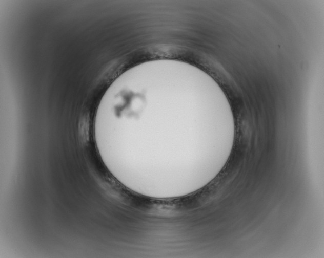 X0000115140694200911241506