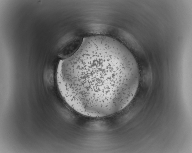 X0000115140696200911241506