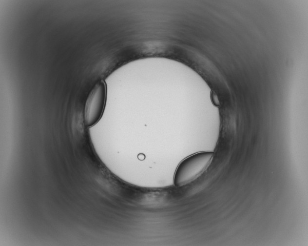 X0000115140700200911241506