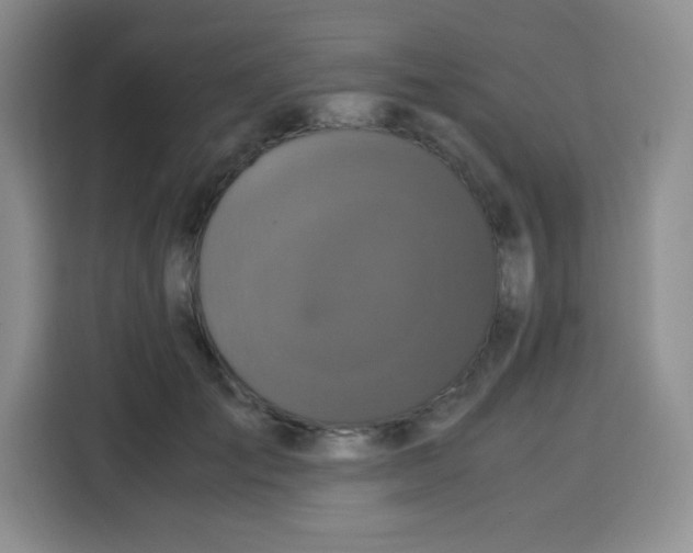 X0000115140701200911241506