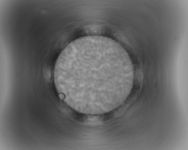 X0000115140709200911241506