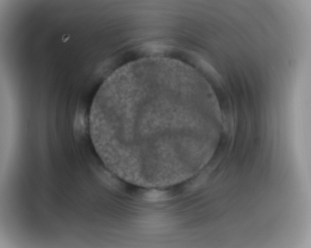 X0000115140718200911241506