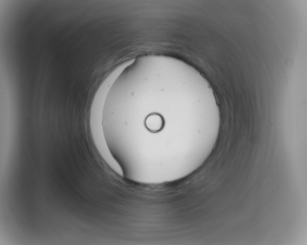 X0000115140720200911241506