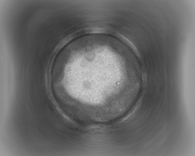 X0000115140721200911241505