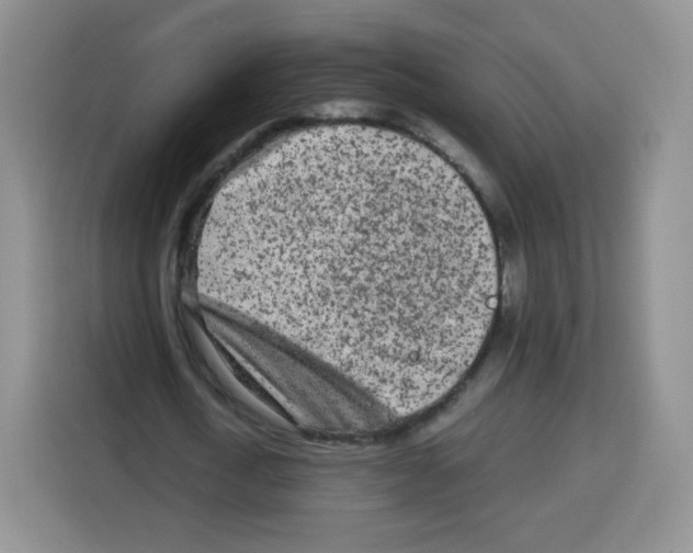 X0000115140722200911241505