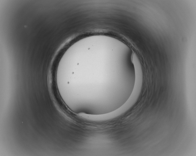 X0000115140726200911241505
