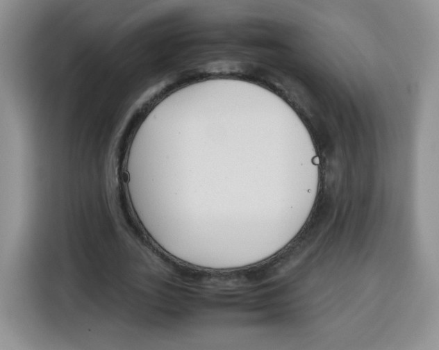 X0000115140727200911241505