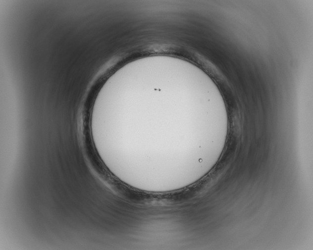 X0000115140730200911241505