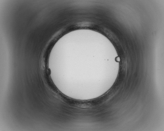 X0000115140731200911241505