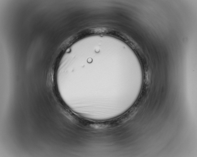 X0000115140733200911241505