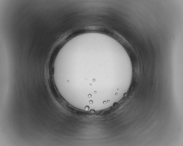X0000115140734200911241505