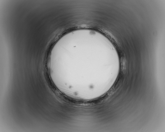 X0000115140738200911241505