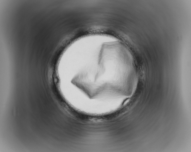 X0000115140742200911241505