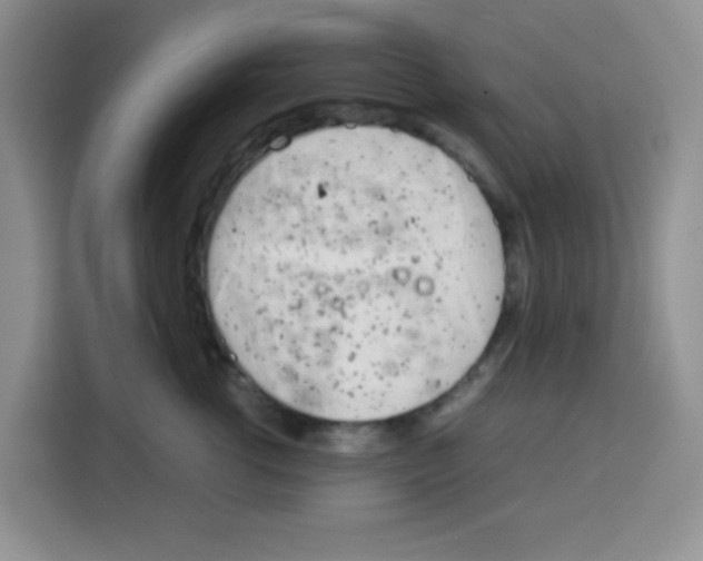 X0000115140762200911241505