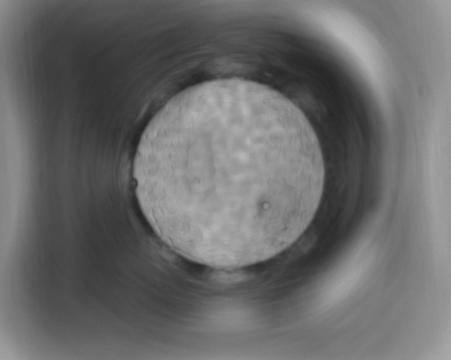 X0000115140767200911241506