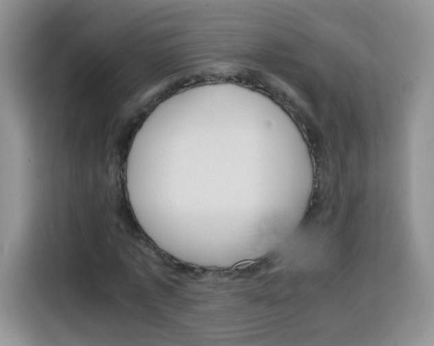 X0000115140773200911241505