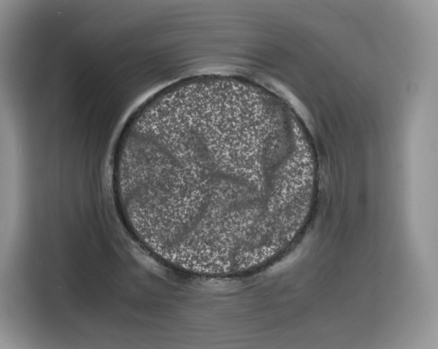 X0000115140779200911241505