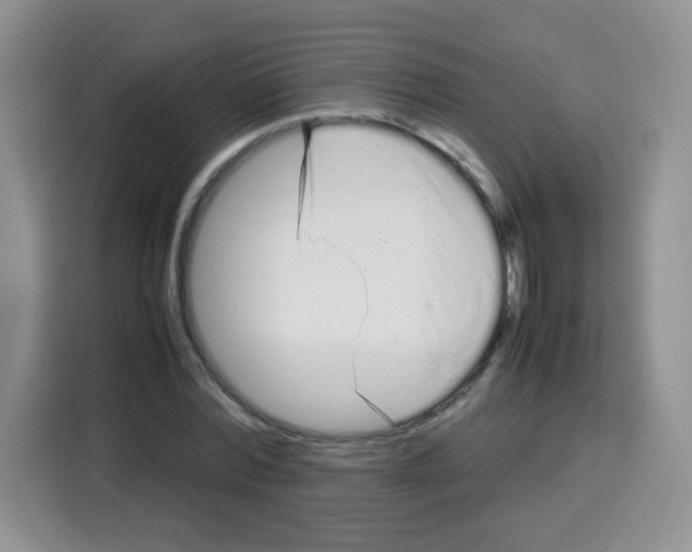 X0000115140780200911241505