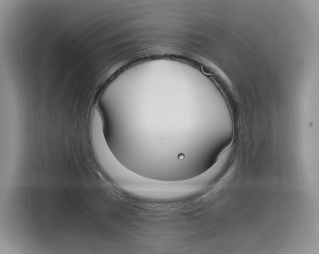 X0000115140785200911241505