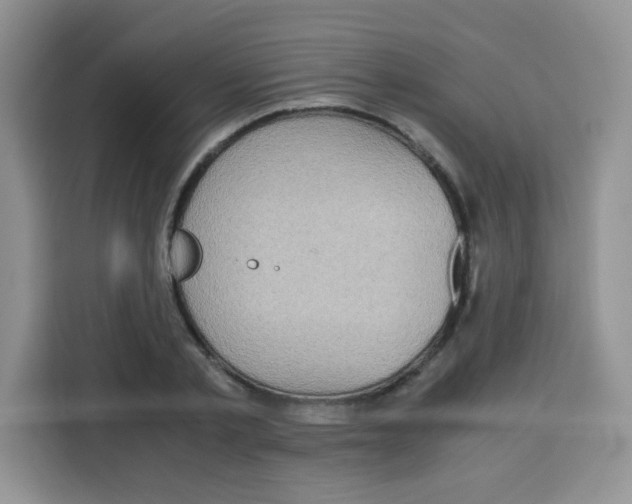X0000115140789200911241505
