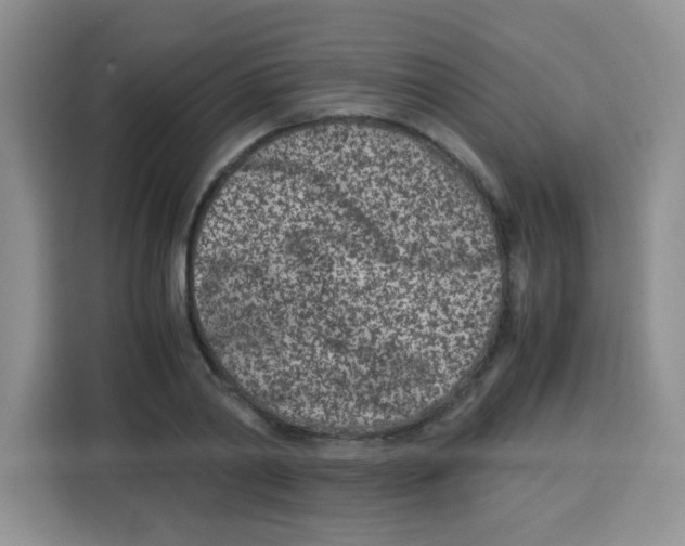 X0000115140790200911241505