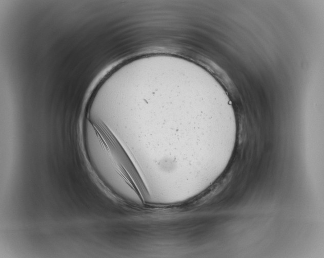 X0000115140796200911241505