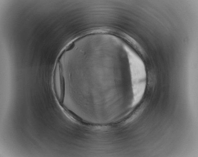 X0000115140802200911241504