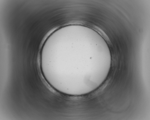 X0000115140804200911241504
