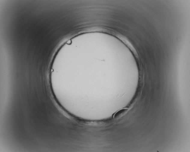 X0000115140805200911241504