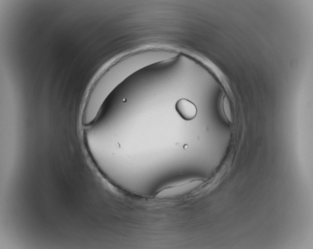 X0000115140807200911241504