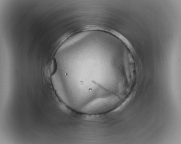 X0000115140809200911241504