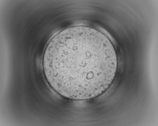X0000115140810200911241504