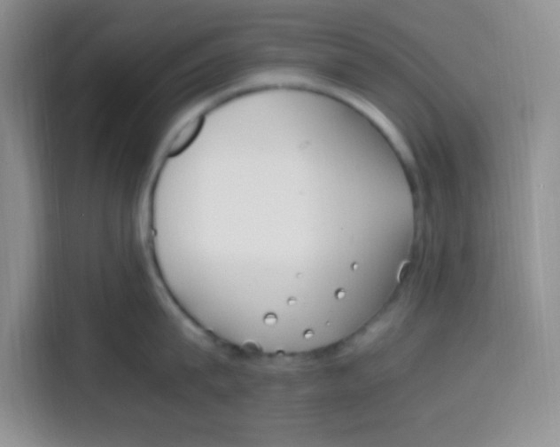 X0000115140815200911241504