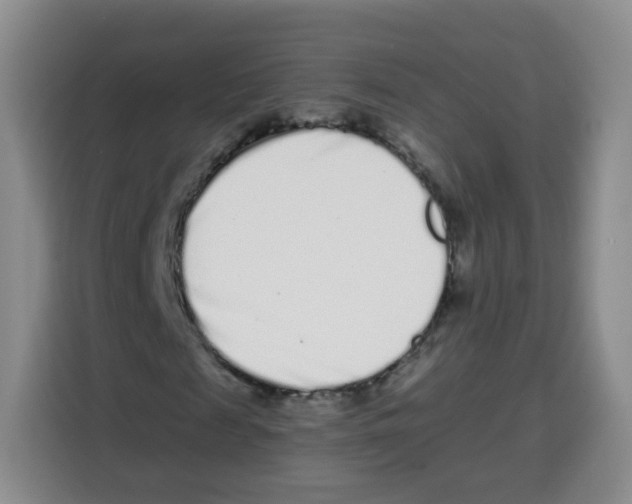 X0000115140817200911241504