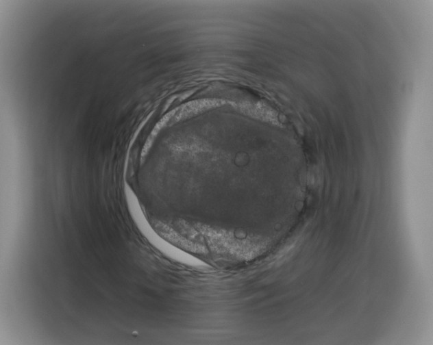 X0000115140818200911241504