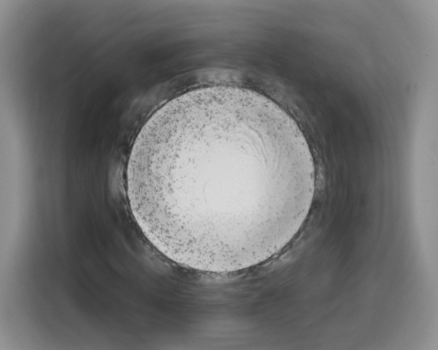 X0000115140820200911241504