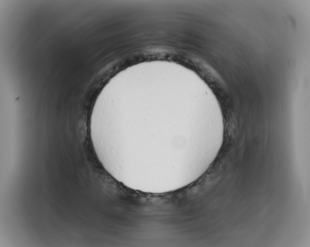 X0000115140821200911241504
