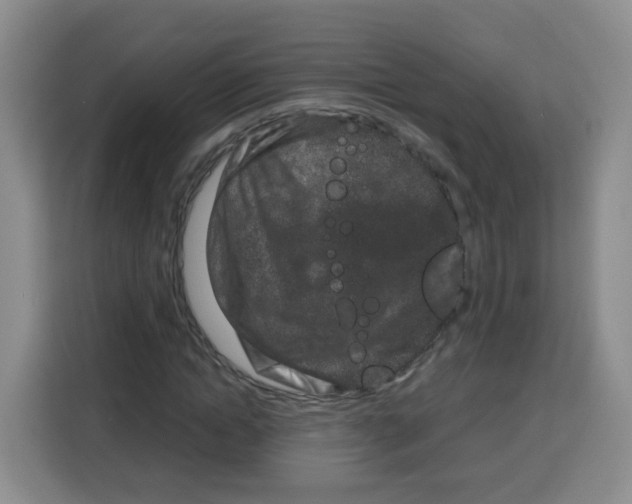 X0000115140822200911241504