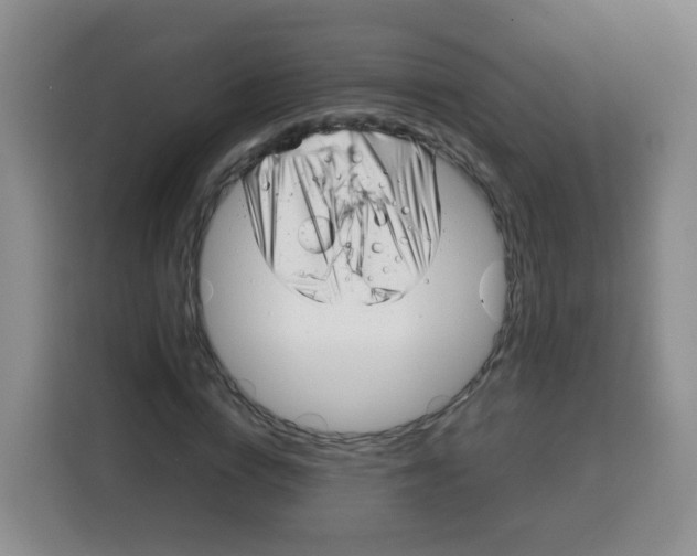 X0000115140824200911241504
