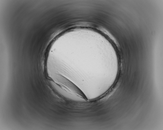 X0000115140829200911241504