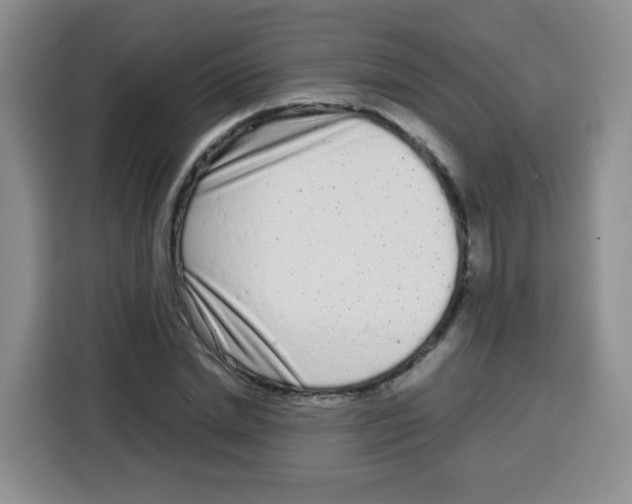 X0000115140830200911241504