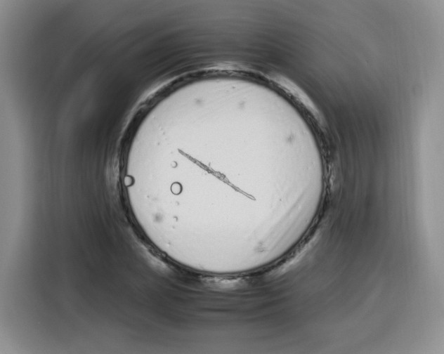X0000115140831200911241504