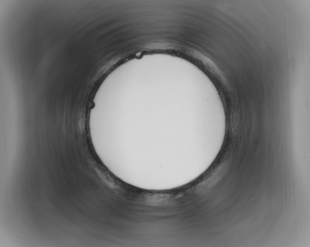 X0000115140833200911241504