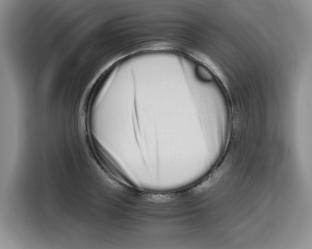 X0000115140835200911241504