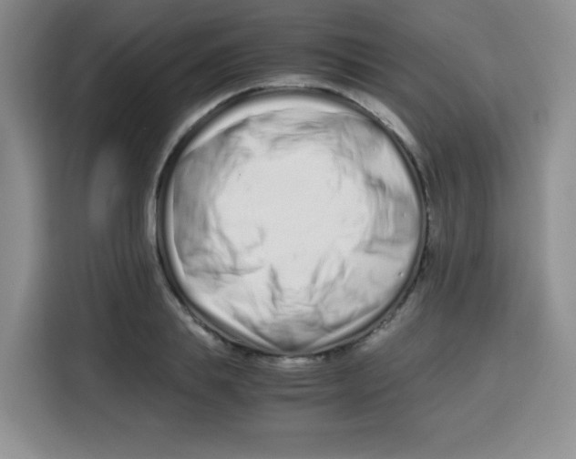 X0000115140839200911241504