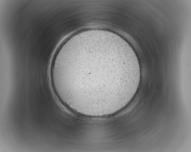 X0000115140840200911241504